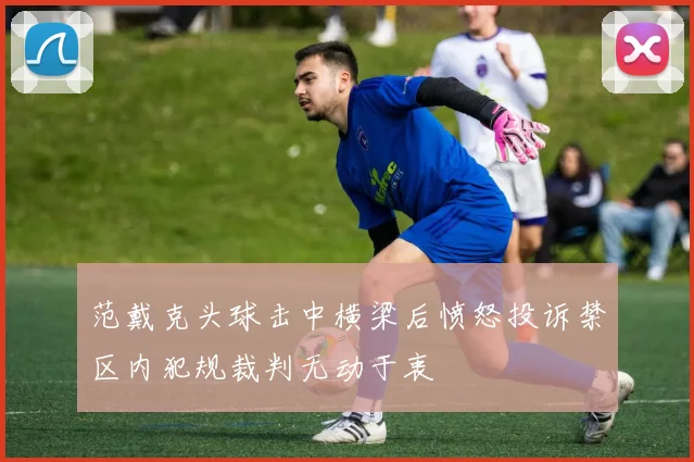范戴克头球击中横梁后愤怒投诉禁区内犯规裁判无动于衷